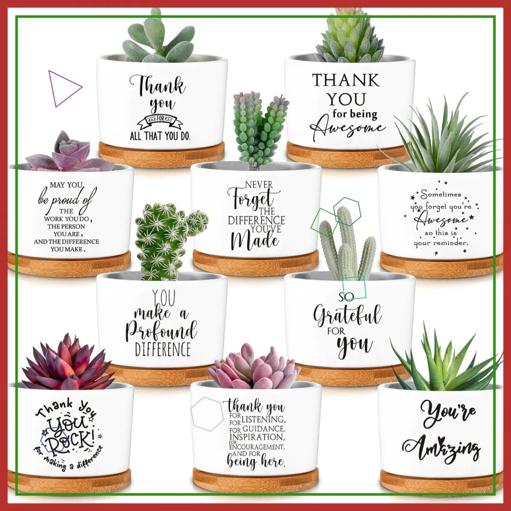 

20 Pcs Succulent Plant Gifts for Women, Thank You Employee Appreciation Bulk with Ceramic Pots & Bamboo Tray