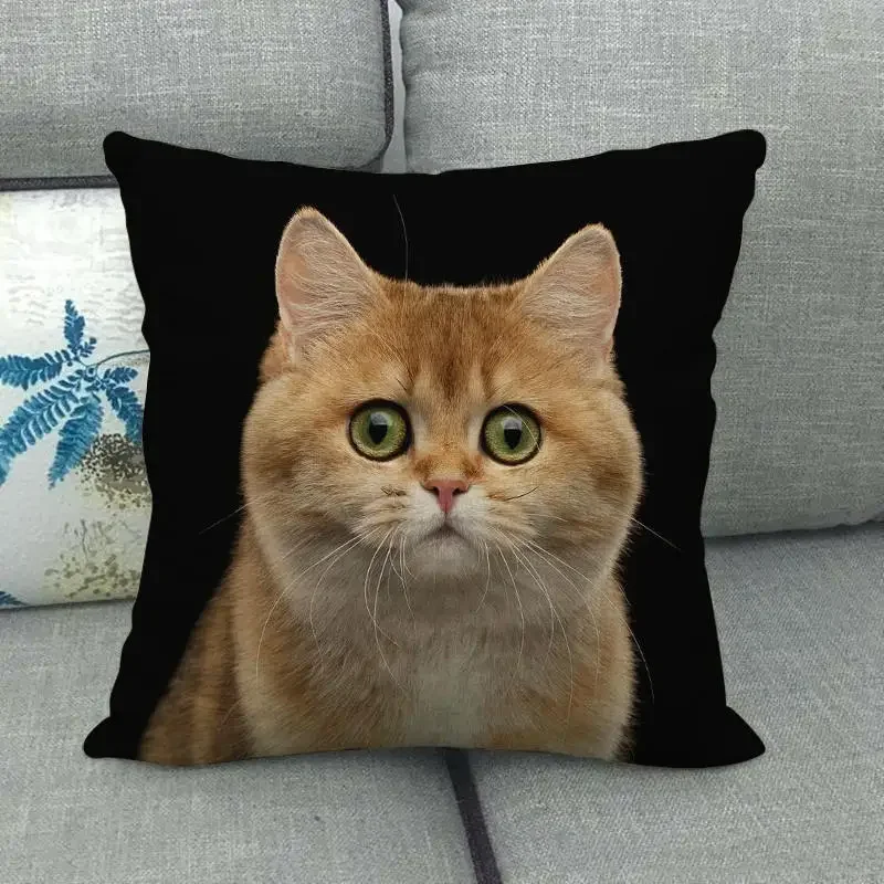 my melody wygodna sypialniaCute Animal Cat Printing Series Sofa Creative Simple Pillow Home Party CarLittle Fresh