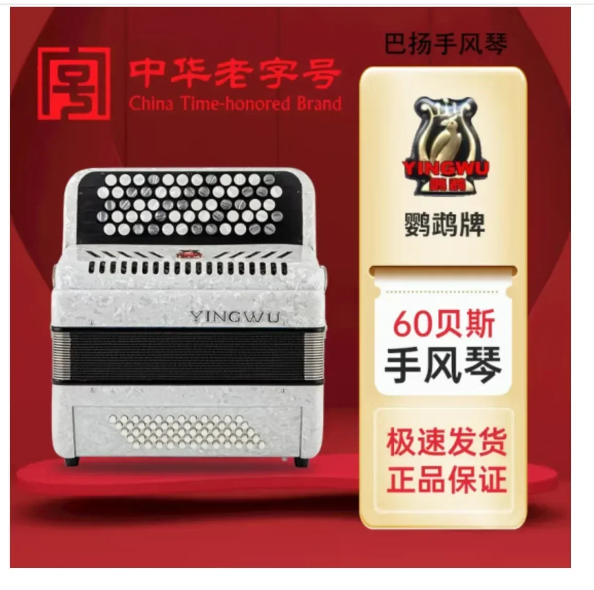 Accordion 60/96 Bass Button Type Beginner Test Adult