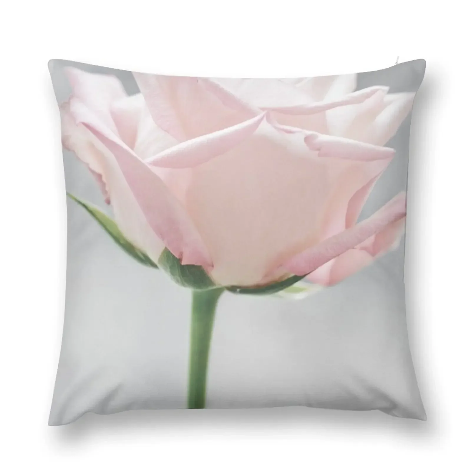 

Beautiful Blush Pink Rose Throw Pillow Cushion Cover For Sofa Decorative Sofa Cushion pillow