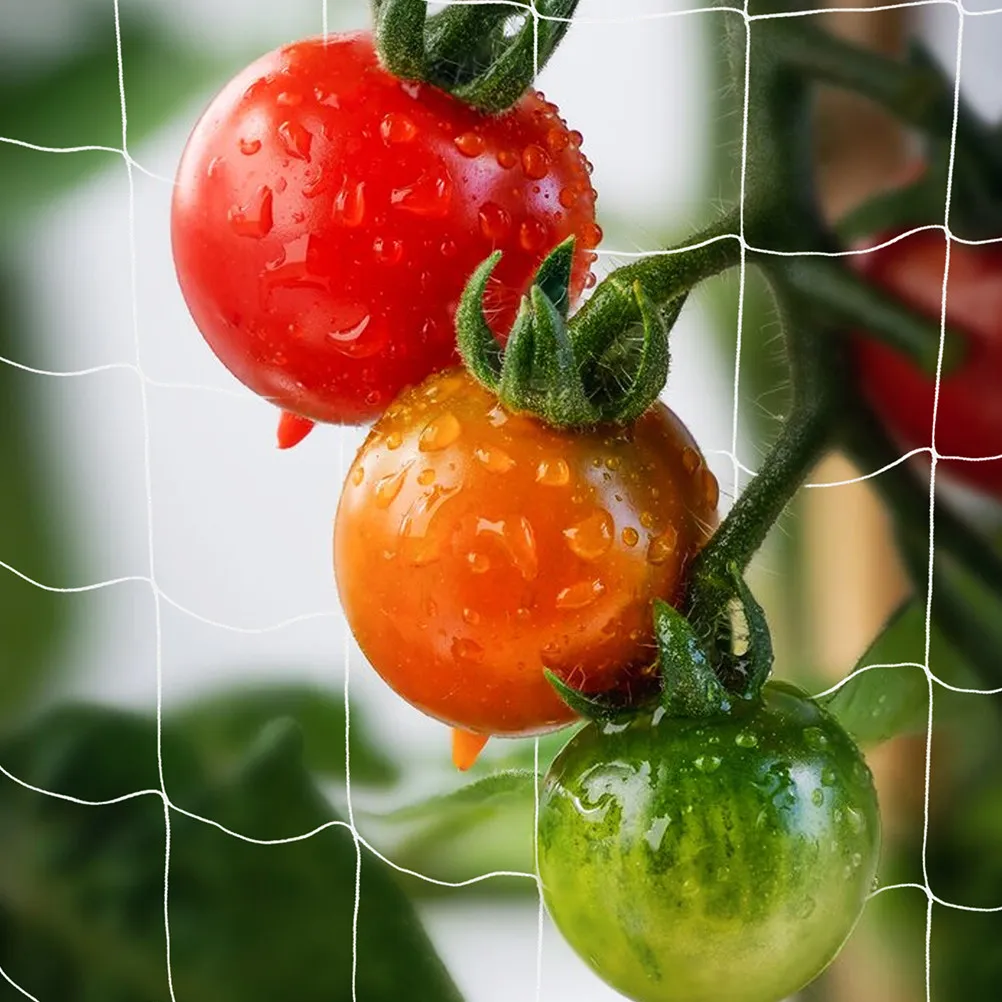 

Premium Polyester Climbing Net for Gardens Orchards Bean Vines Flower Trellis Netting Plant Support Vine Climbing Net Outdoor