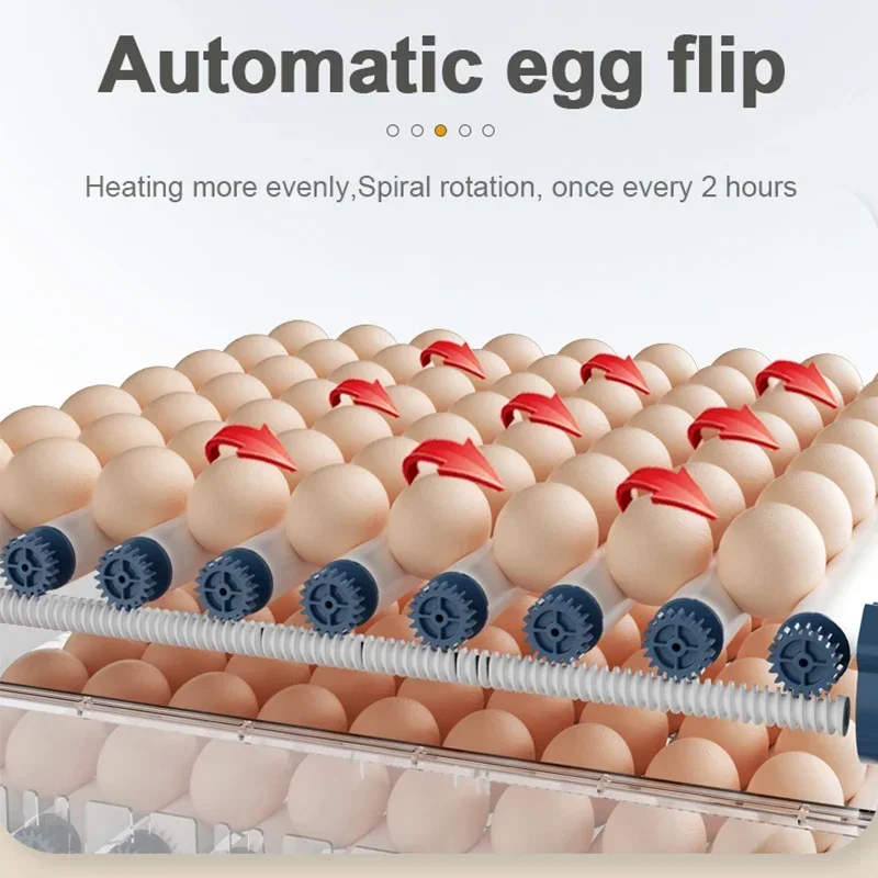 Eggs Brooder Hatching Egg Farm Equipment Bird Chick Incubation Incubator for Eggs Fully Automatic Accessories Chicken Incubator