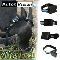 Rastreador GPS com carregador de energia solar Rastreador GPS para animais de estimação impermeável Localizador de localização Anti-perdido para fazenda, cavalo, ovelha, vaca, V26, V24