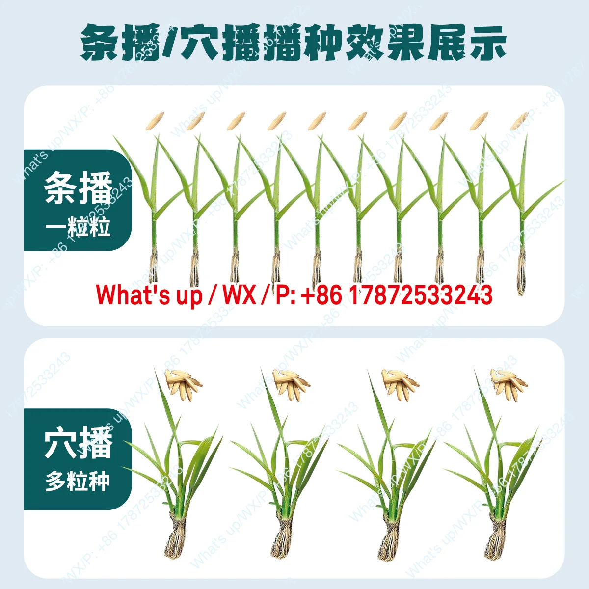 Rice seeder, rapeseed seed multifunctional on-demand machine, hole sowing machine, adjustable number of seeds, rice transplanter