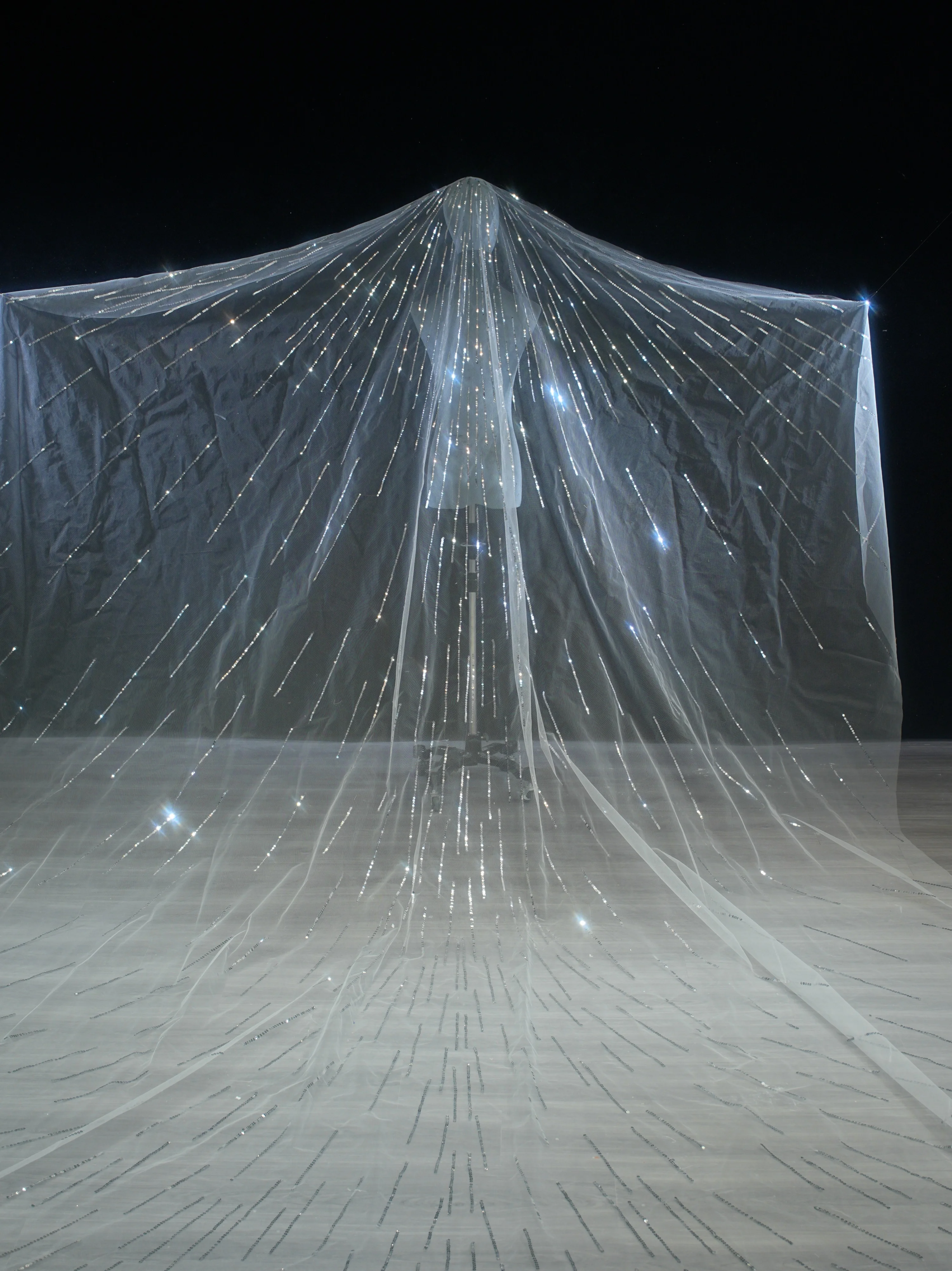 웨딩 베일 여성을위한 신부 헤어 액세서리 우아한 모조 진주 긴 대성당 베일 빗 3M 아이보리 색상