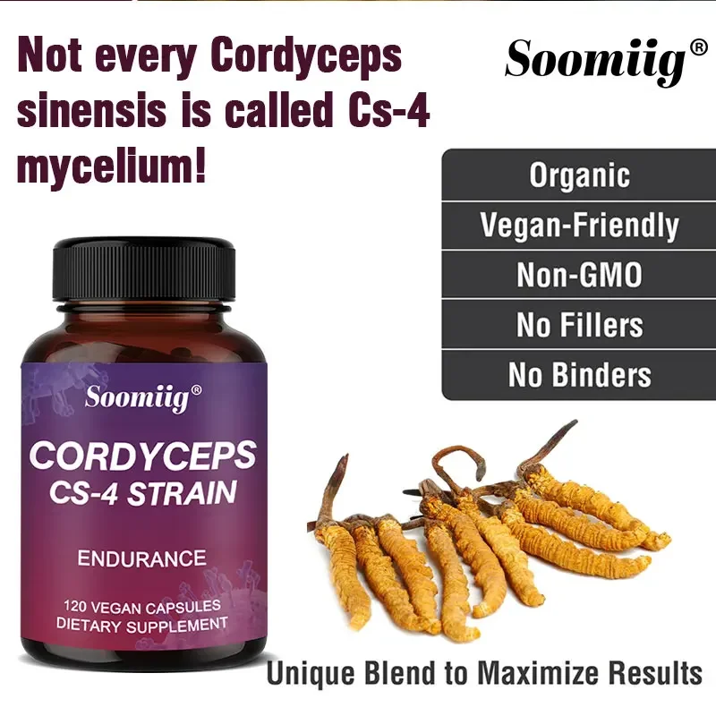 Cordyceps CS-4 Strain 750 Mg - Natural Energy Supplement, Athletic Endurance, 120 Vegetarian Capsules