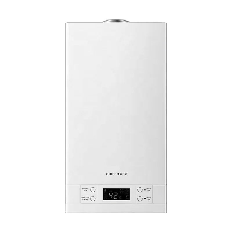 

Wall Hanging Natural Gas Electric Instantaneous App-Controlled Copper Household Tankless Water