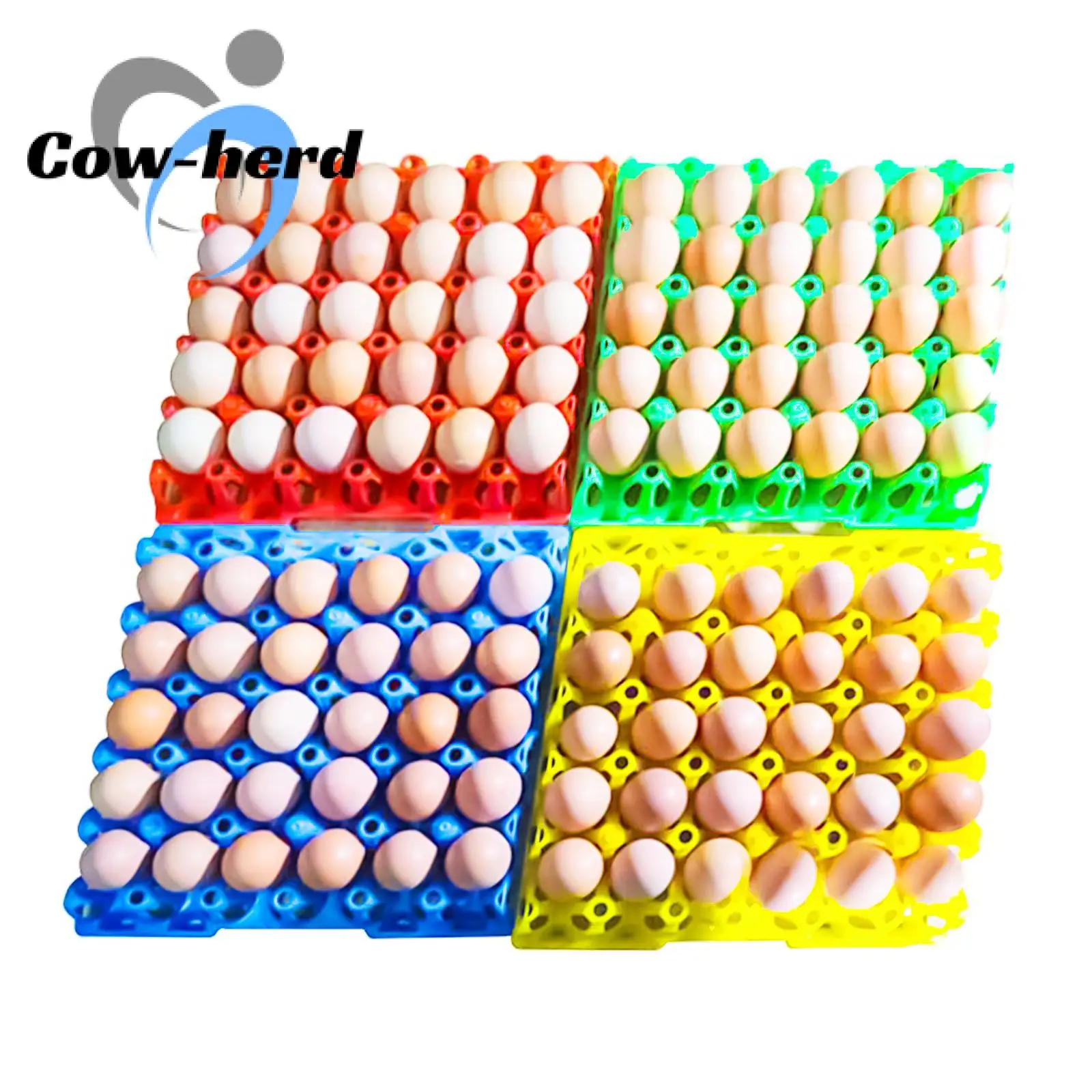 5Pcs 30Eggs Capacity Commercial Chicken Farm Plastic Layer Egg Tray Crate Box Turnover Transport Tools Poultry Equipment