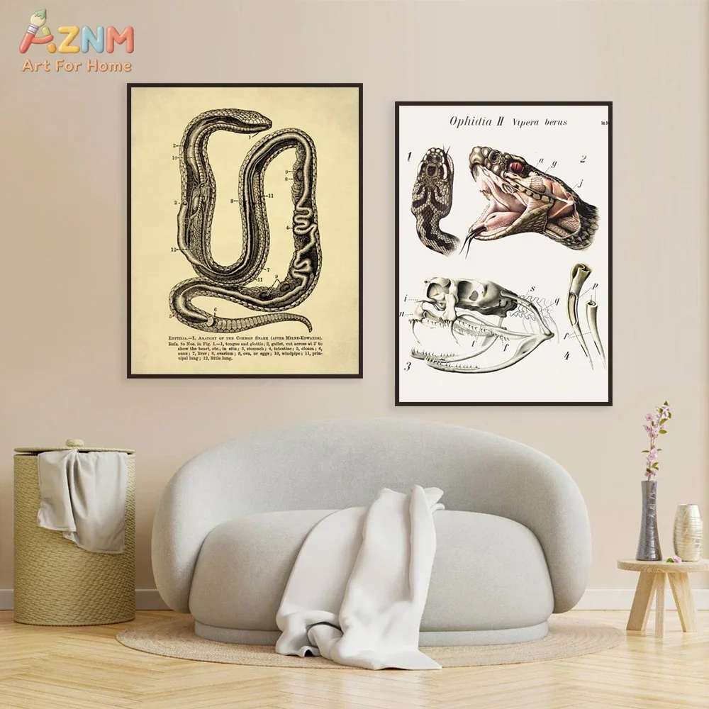 AZNM Vintage Snake Anatomy Canvas Wall Art Viper Skeleton Biological Illustration Print Poster Science Room Decor Unframed Paint