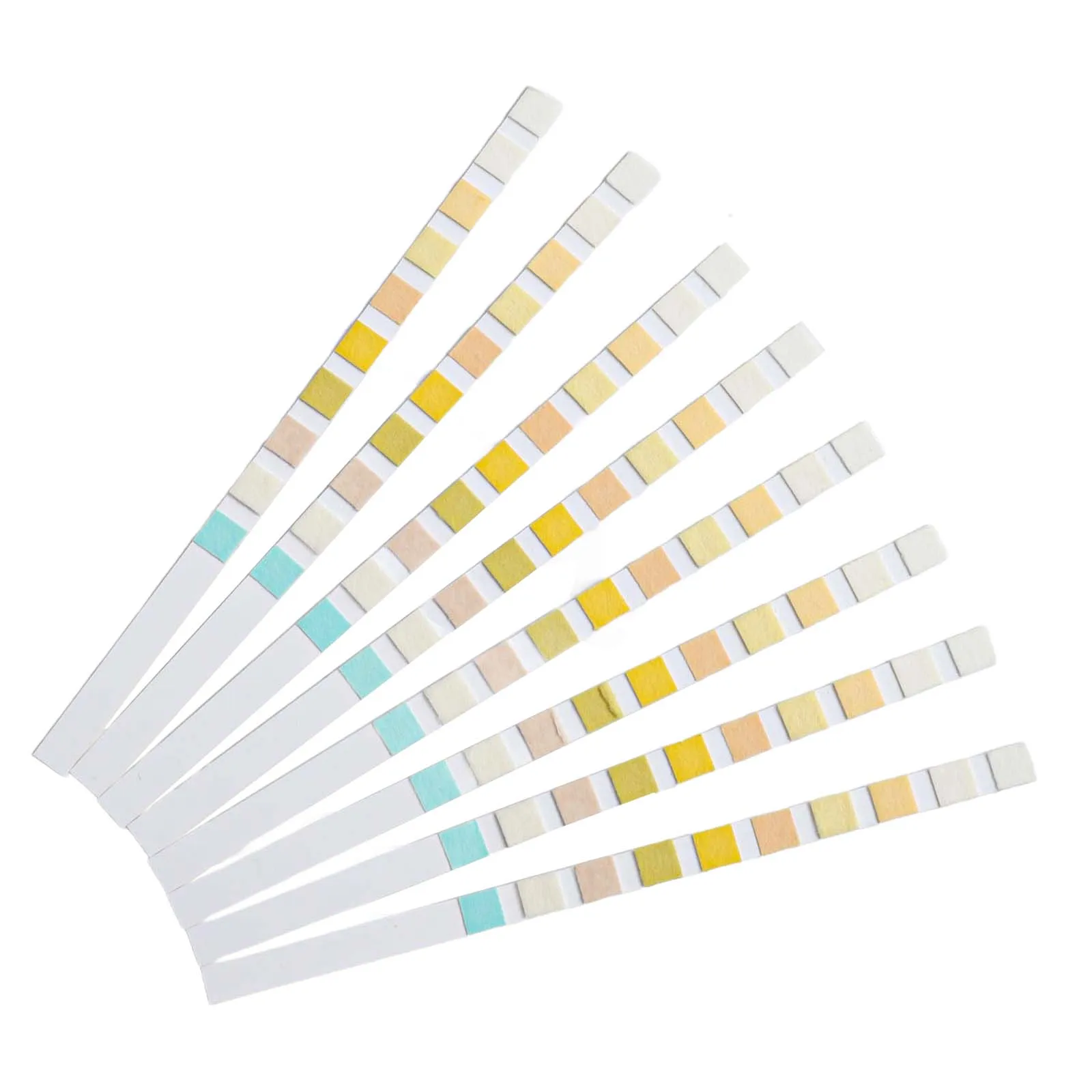 Easy Urine Test Pet Urine Test Strips Home Health Care Glucose Test Ketone Test For Cats 100pcs Pet Urine Test Strips