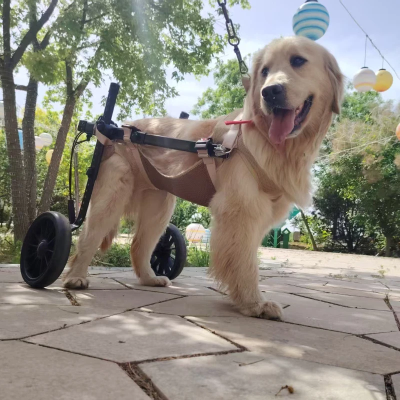 Thumbnail 4 - #13 Highest Rated Wheelchairs to Buy in 2026