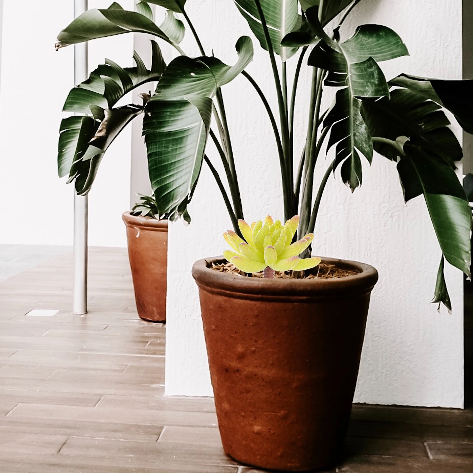 

15Pcs Simulated Plants Set Miniature Micro Landscape DIY Ornament Moss Bonsai Garden Decoration Green Plants Adornment