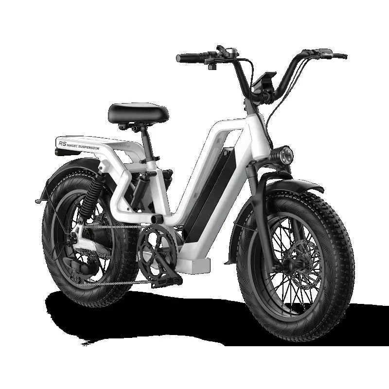 

New Style 750W 48V 20AH Lithium Battery 20" X 4.0" E Bike Fat Tire City/Mountain Electric Bike for Adult