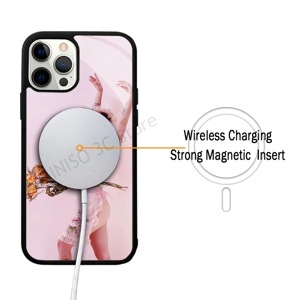 Phone Case Strong Magnetic For IPhone 15 14 13 Pro Max 11 12 Mini Singer Melanie Martinez Portals For Magsafe