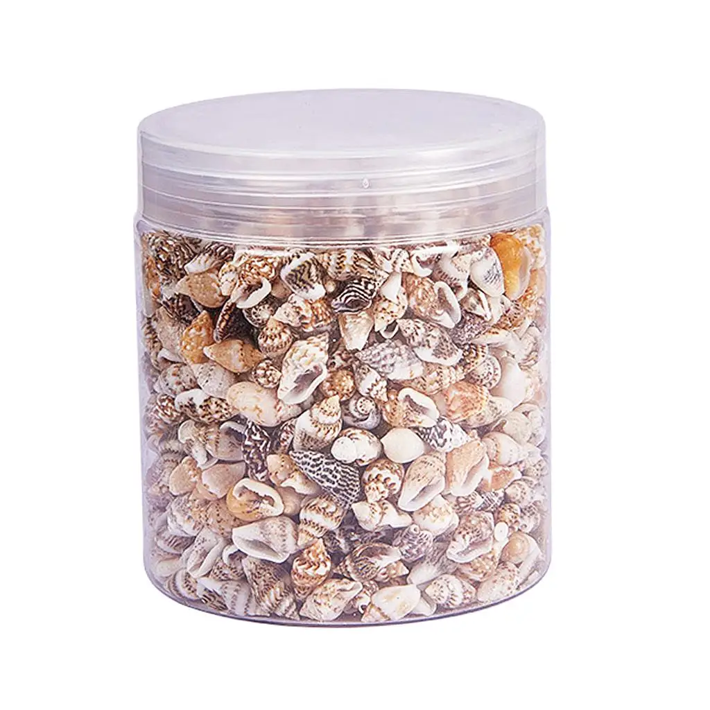 Thumbnail 2 - #77 Latest Vase Fillers Offers