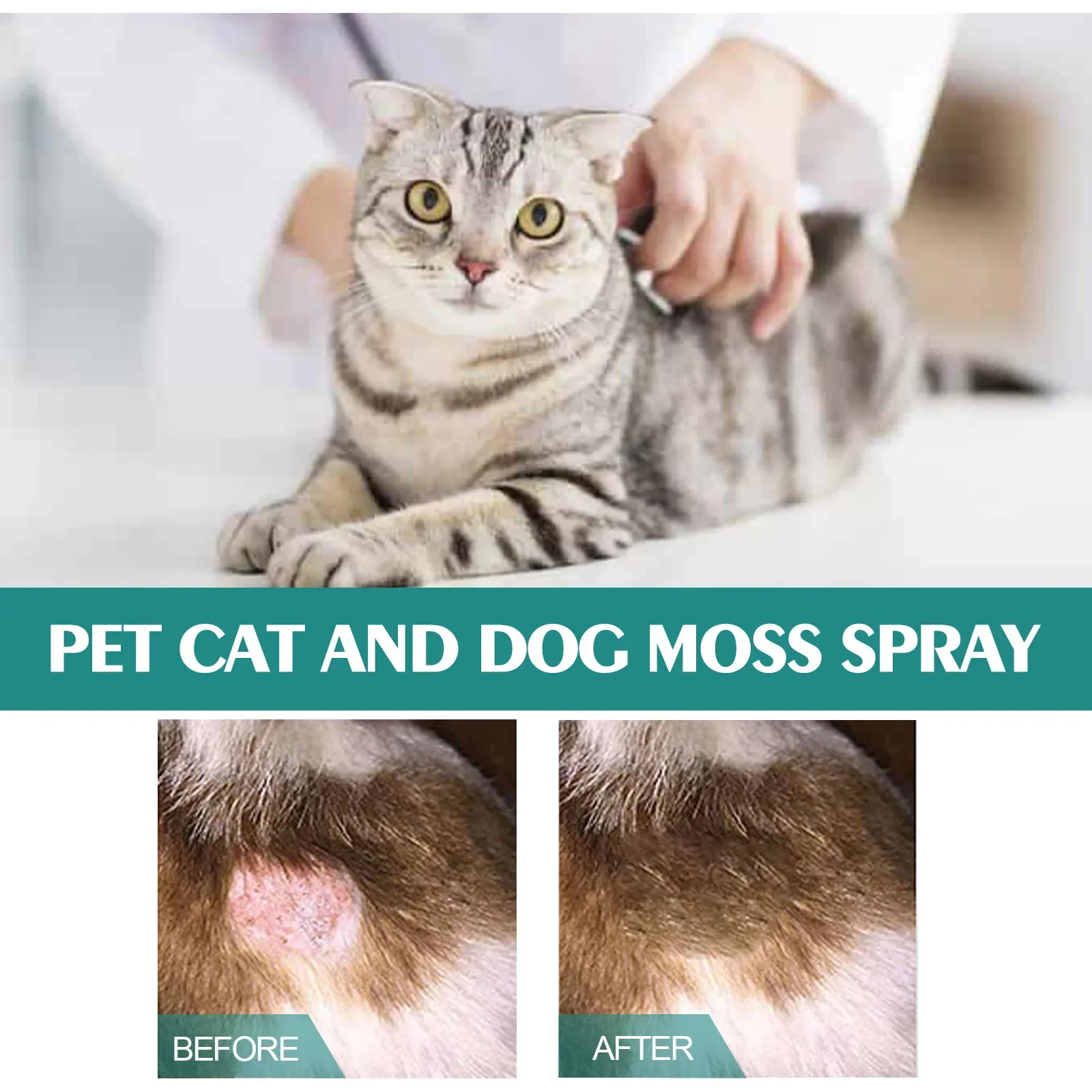 Pet Skin Care Spray Dermatitis Allergy Antibacterial Flea Tick Killer Puppy Mite Removal Relieve Itching Cat Ringworm Treatment