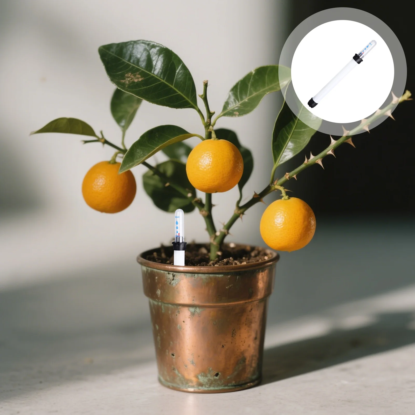 

6Pcs Water Level Gauge for Potted Plants Automatic Water Shortage Reminder Meter Moisture Indicator Device