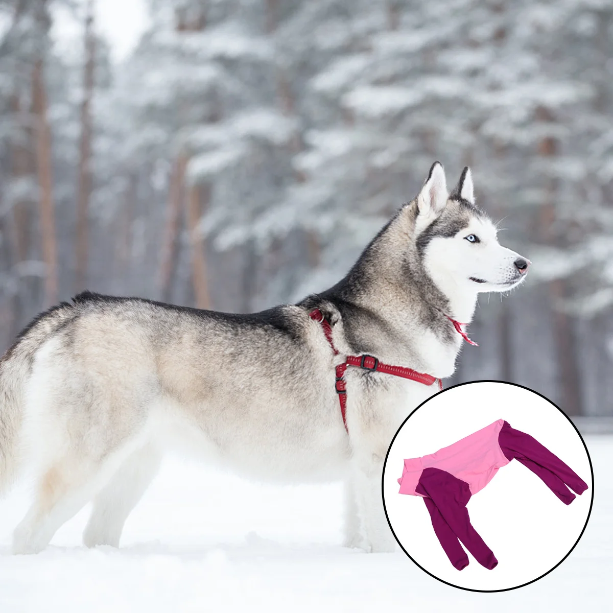 

1Pcs Dog Pet Clothes Soft Cotton Four-Leg Dog Jumpsuit Puppy Clothing Durable Comfortable for Walking Jogging Pet Costume