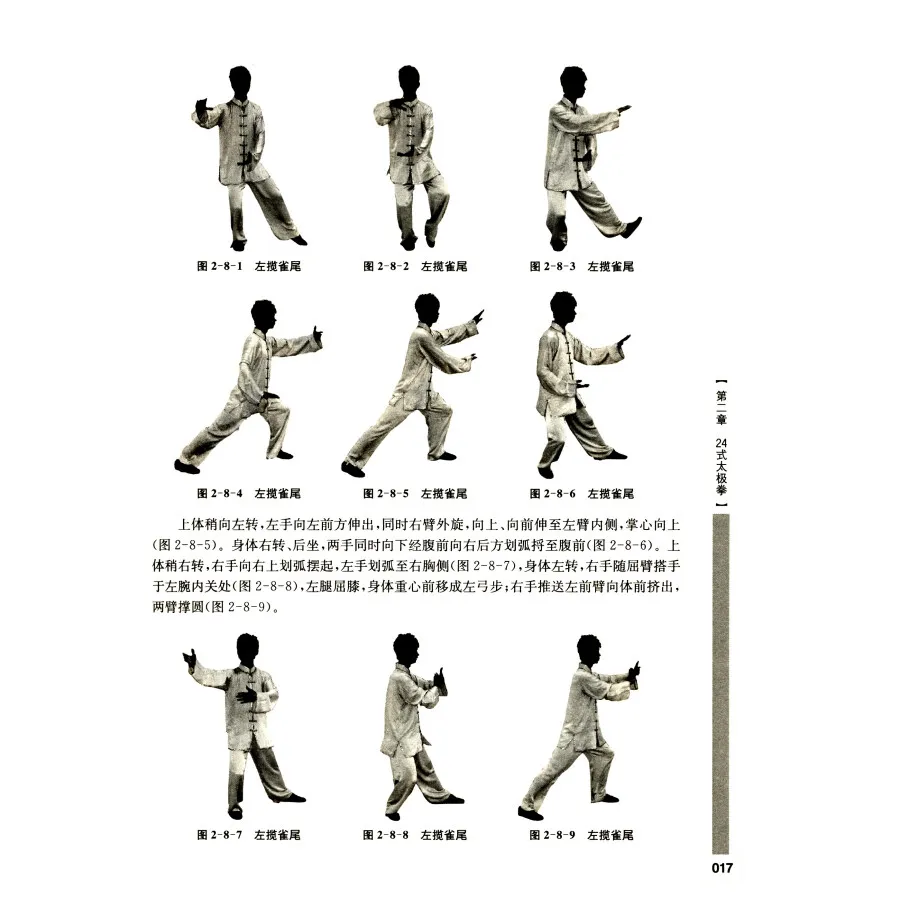 Bilingual Chinese Martial Arts Wu Shu Kung Fu Book by Dai Guobin in Chinese and English