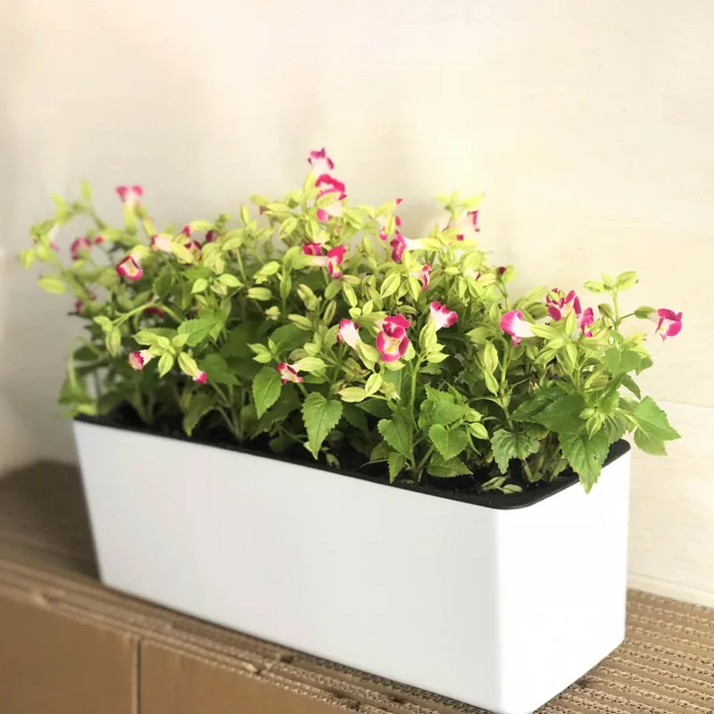 rectangular plastic automatic water-absorbing lazy flower pot, balcony vegetable flower pot container, green dill flower pot.