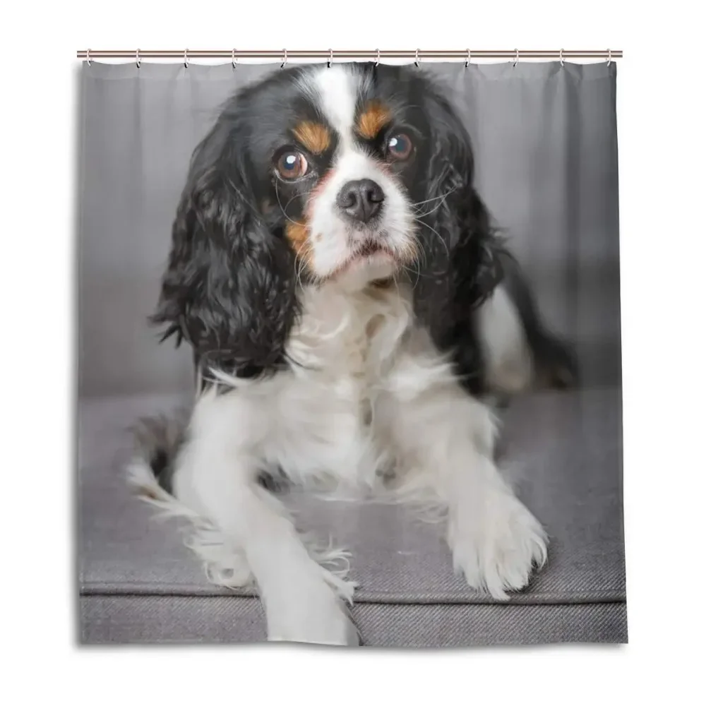 

Spaniel Dogs Shower Curtain Waterproof Polyester Fabric Bathroom Shower Curtains Bathroom Decor with Hooks