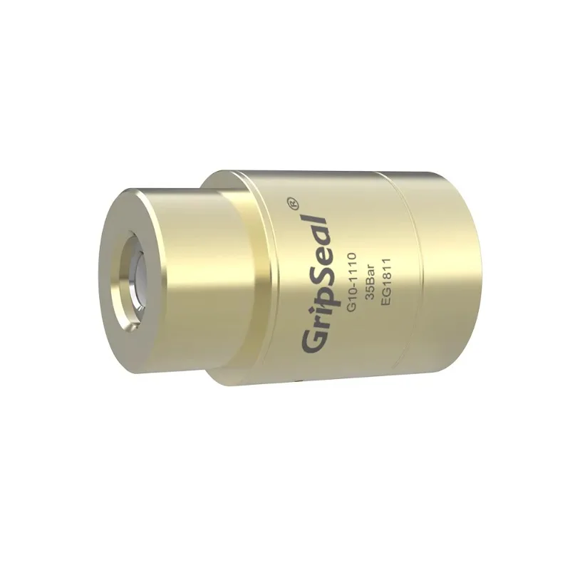 G10 quick connector for external instant connection to G1/8 G1/4 G1/2 thread hole for Pressure and Leak testing