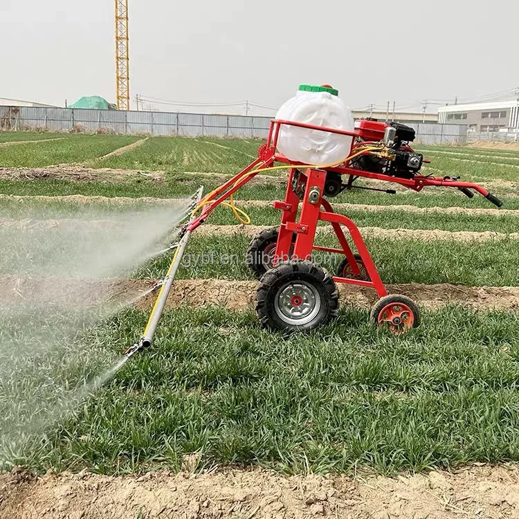 Small  Engine Self-propelled Walking Sprayer with 150L tank