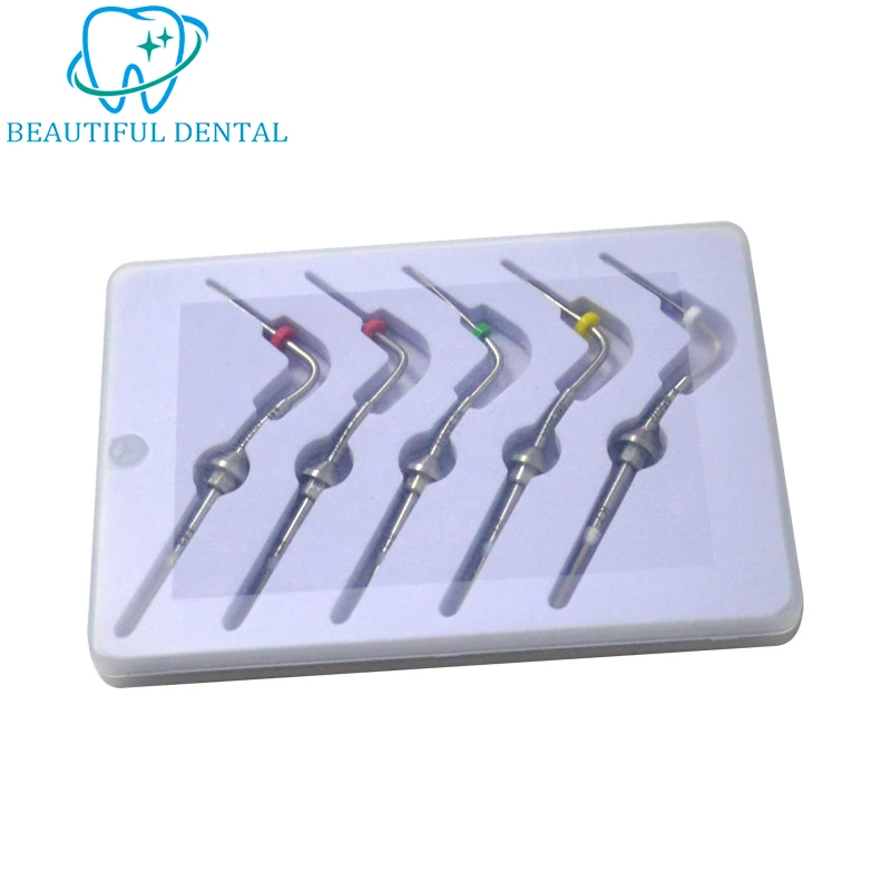 Dental Heating Needle Rapid Heating Multiple Models Hot-Melt Handle Dental Adhesive Filler with Heating Tip