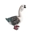 Multi Color Goose