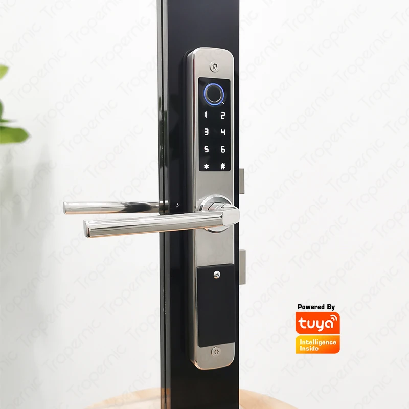 TUAY WIFI Fingerprint double two side waterproof IP55 outdoor smart door lock SUS material for slim aluminum swing door