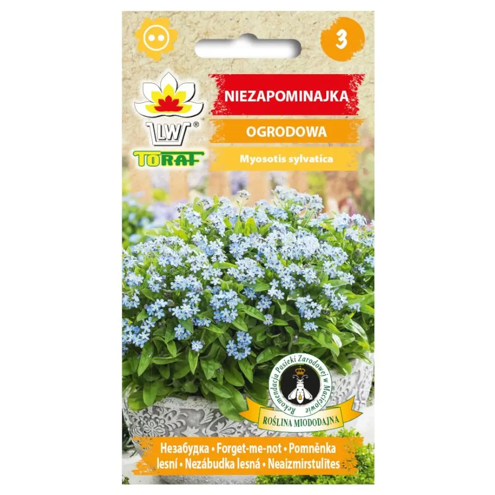 Graines de Myosotis bleues 0,3g, fleurs de jardin biennales, floraison abondante, pour semi-ombre et pots