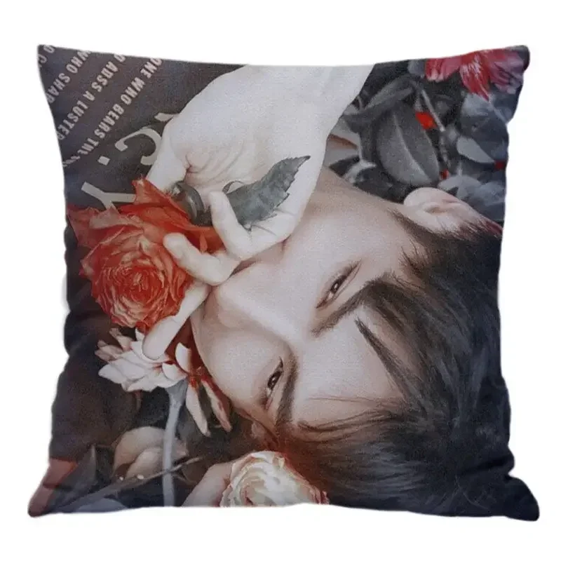 Luo Yunxi Pillowcase Pretty Scholar Same Paragraph Star Photo Poster Cushion Cover Surrounding Souvenir Pillow Covers Decorative
