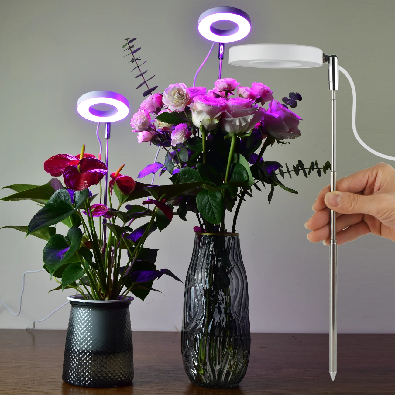 

USB Full Spectrum Grow Light for Indoor Plants Dimmable 3 Modes Timer Height Adjustable White Warm Red&Blue Halo Plant Grow Lamp