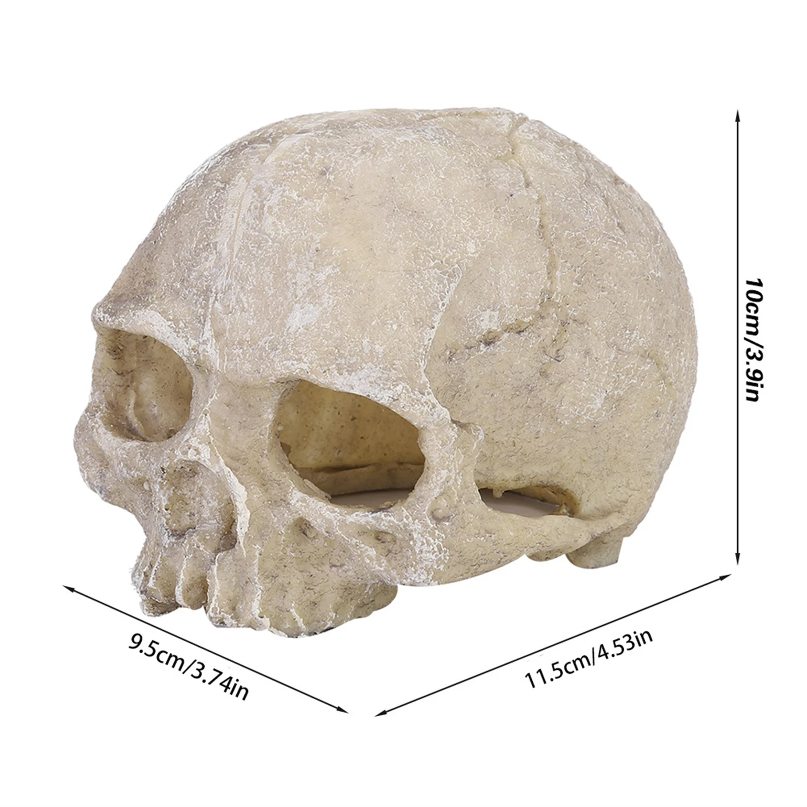 Resin Simulated Head Bone Skull Statue for Lizard Snake Spider Scorpion Cave Aquarium Fish Tank Landscape Decoration view 6