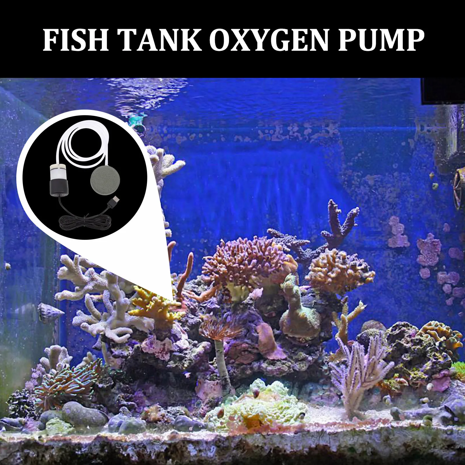 

1 set 1 Set Aerator Aquarium Fish Tank Accessories Oxygen For Aquarium Usb Oxygen Pumps Pump Usb Air Pump Home Supplies