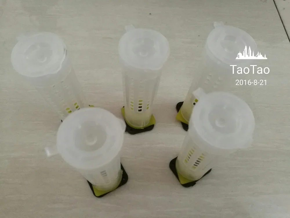 

200 Pcs Beekeeping Tools Fertility King Pedestal Guard Longwall Shield Queen Cage Cover Beekeeping