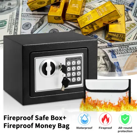 Deli 0.2 Cubic Feet Electronic Digital Safe Box, Steel Money Safe Box for Home with Fireproof Money Bag for Cash Safe Hidden