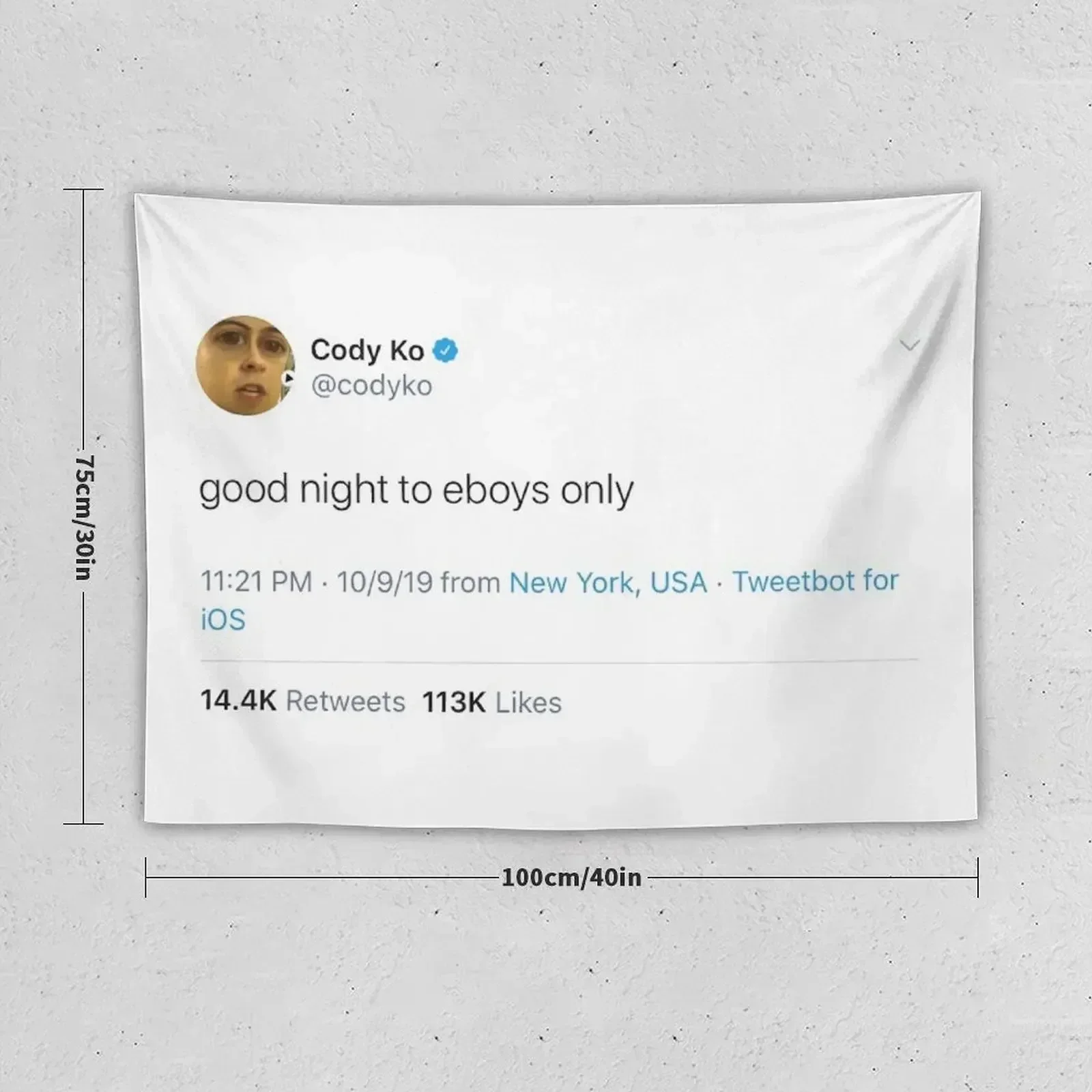 Cody Ko tweet Tapestry Living Room Decoration Decoration For Home Luxury Living Room Decoration Tapestry