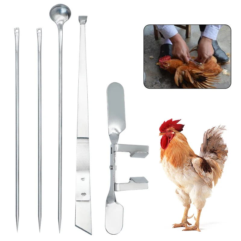 1Set Chicken Castratioin Capon Kit Tools Cock Rooster Caponizing Caponize Instrument For Adult Chicken Day Old Chick