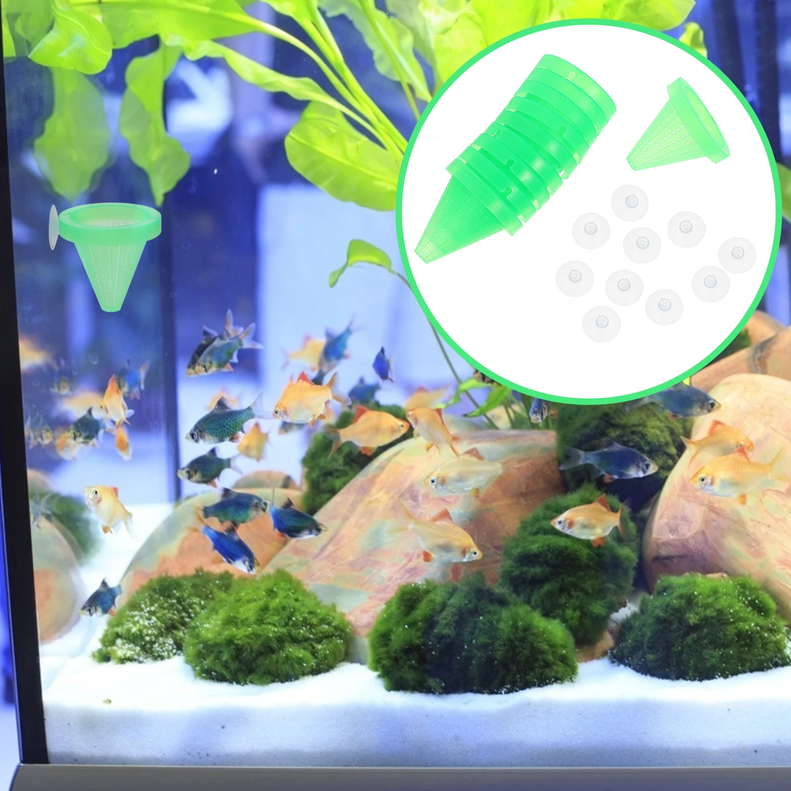 

10Pcs Fish Food Container Suction Cup Plastic Aquarium Feeder Feeding Cup Water Grass Grower Fish Tank Feeding Tool