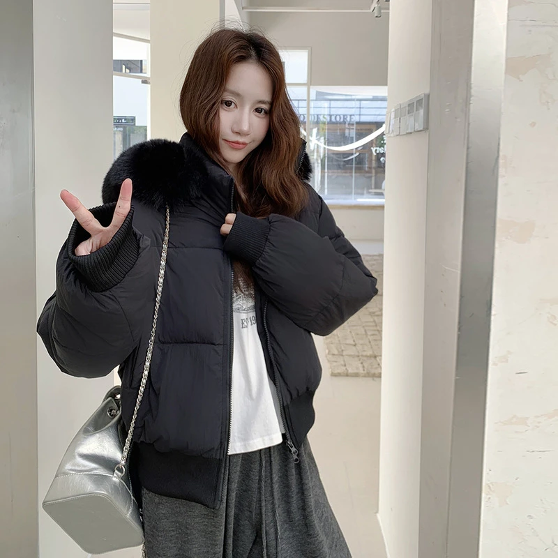 เสื้อแจ็คเก็ตบุขนสั้นแฟชั่นฤดูหนาว คอปกขนสัตว์ เสื้อโค้ทผ้าฝ้ายผู้หญิง คอตั้ง สีพื้น เสื้อพาร์กาพองๆ สไตล์หวาน เข้าได้กับทุกชุด