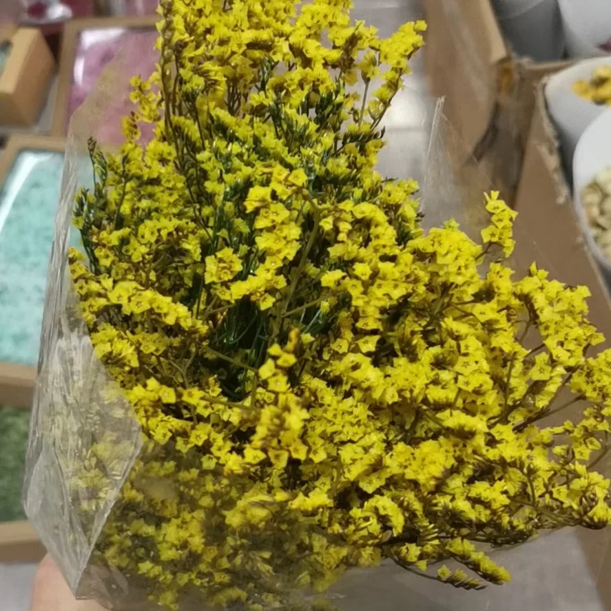 Zakonserwowane kwiaty wesele układ Crystal Grass naturalne świeże suszone Real Forever Lover trawa oddział do wystroju domu