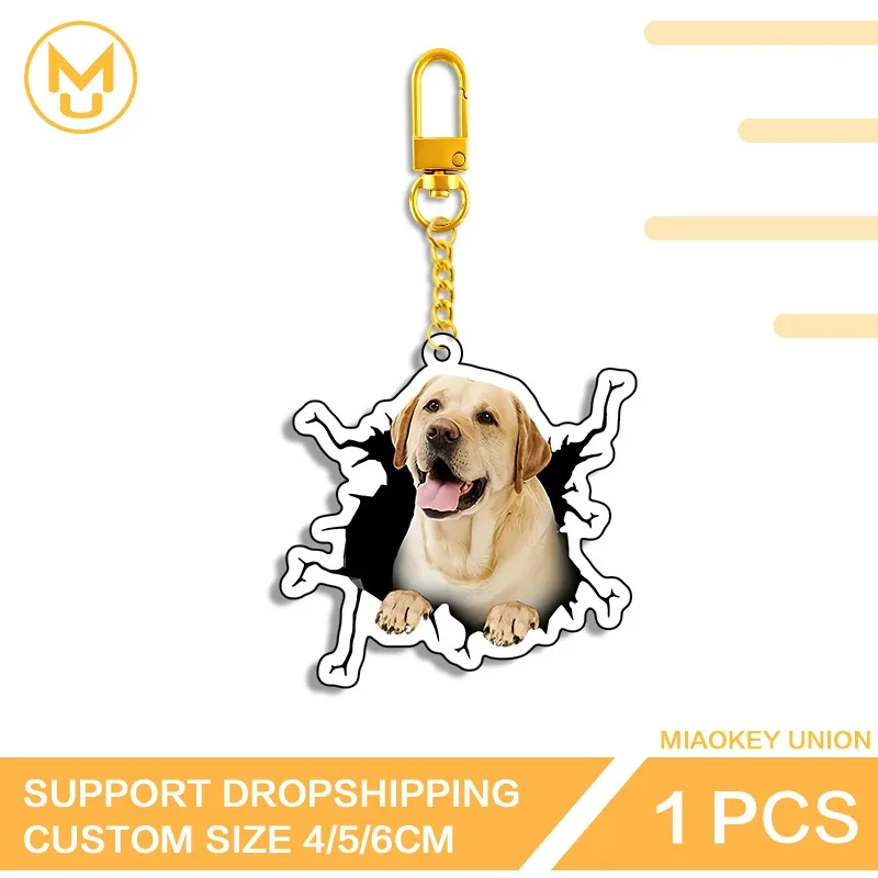 Tear Dog Key Chains Curtain Hook Hand Luggage Box Lightweight Keyring Delicate Prop Decorative Line of Photo Wall Key Slot