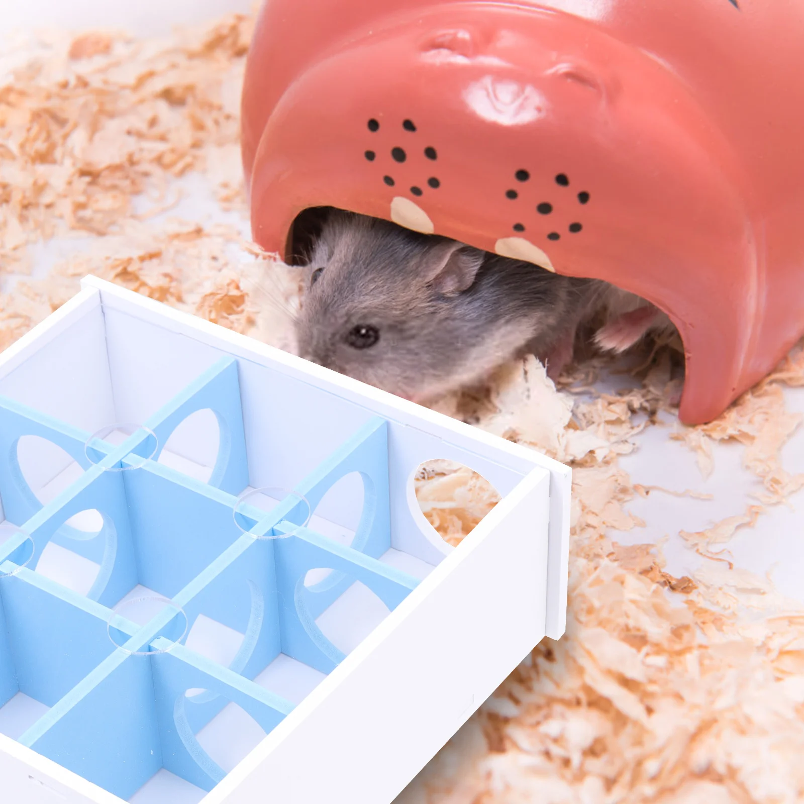 الإبداعية الهامستر متاهة الأنابيب نفق اللعب للفئران جربيل الحيوانات الصغيرة ممارسة متاهة متعة الاسترخاء مخبأ مستلزمات الحيوانات الأليفة #6