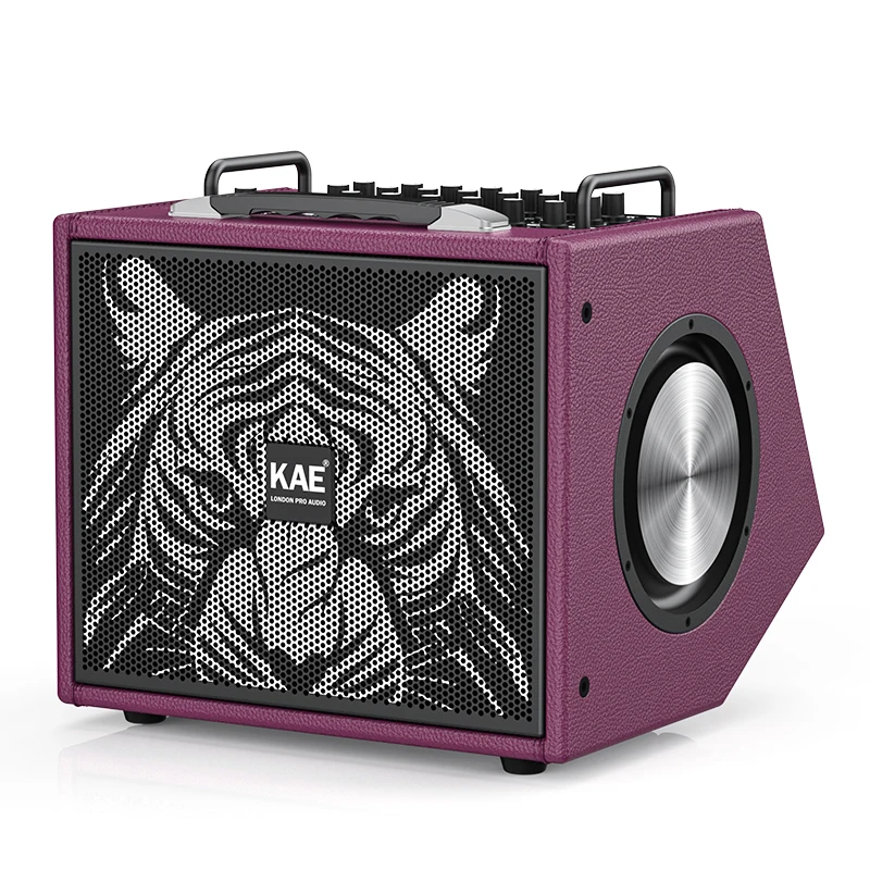 

Bluetooth Portable Speaker TV Speaker Home Theater System With Stereo Function For Home Party Outdoor