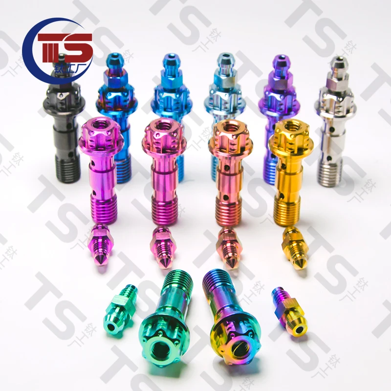 TS 2pcs and 10pcs Titanium Factory Titanium Alloy Caliper Double Layer Tubing Exhaust Screw M10X1.0mm 1.25mm