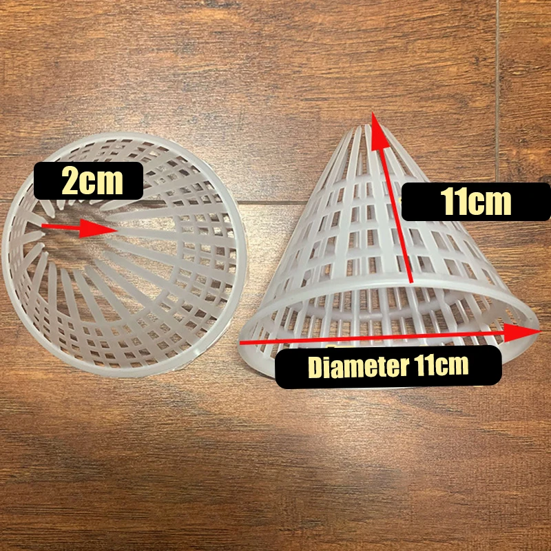 Eel Loach Eel Octop…
