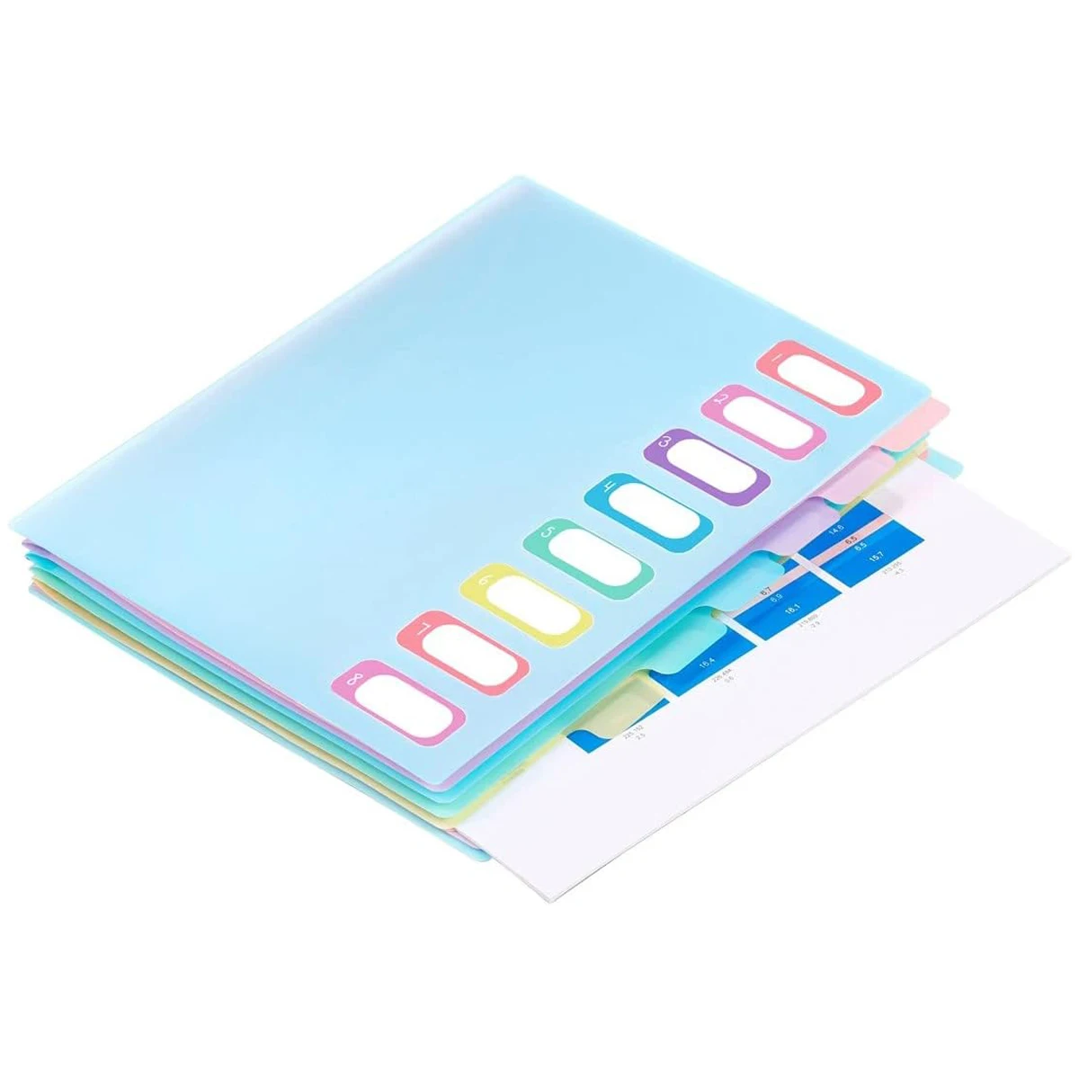 Multi-layer A4 document bag - with rainbow index labels and a color-coded calendar system for organizing office documents.