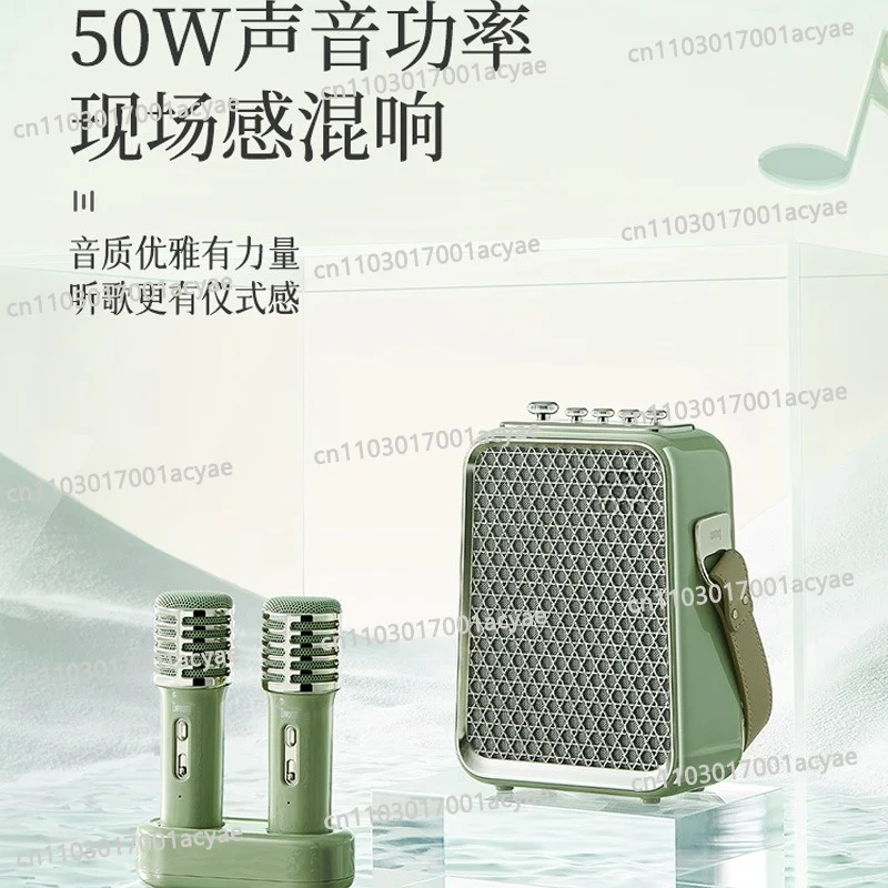 Portable singing microphone Karaoke home ktv wireless bluetooth dual microphone, speaker