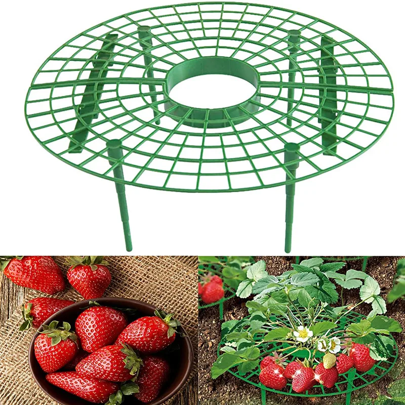 

5/10/15 шт., подставка для клубники